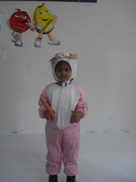 fancy dress 057.jpg